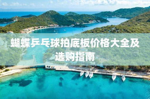 蝴蝶乒乓球拍底板價格大全及選購指南