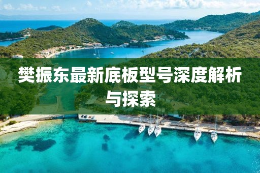 樊振東最新底板型號(hào)深度解析與探索