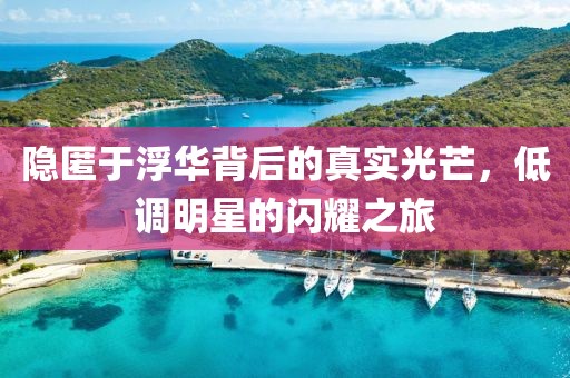 隱匿于浮華背后的真實(shí)光芒，低調(diào)明星的閃耀之旅