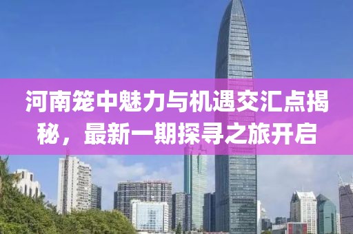 河南籠中魅力與機(jī)遇交匯點(diǎn)揭秘，最新一期探尋之旅開啟