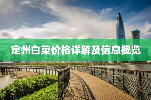 定州白菜價格詳解及信息概覽