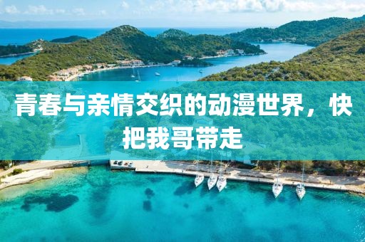 青春與親情交織的動(dòng)漫世界，快把我哥帶走