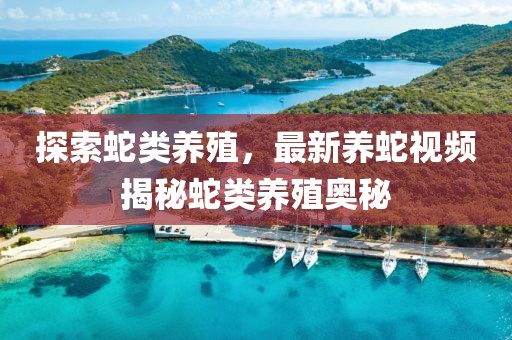 探索蛇類養(yǎng)殖，最新養(yǎng)蛇視頻揭秘蛇類養(yǎng)殖奧秘