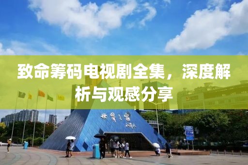 致命籌碼電視劇全集，深度解析與觀感分享