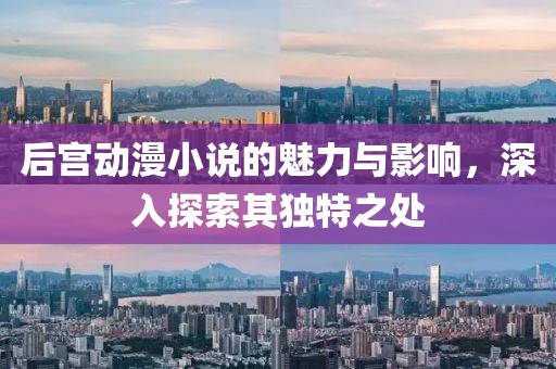 后宮動漫小說的魅力與影響，深入探索其獨(dú)特之處