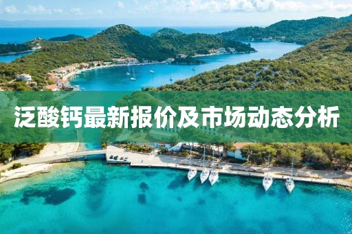 泛酸鈣最新報價及市場動態(tài)分析