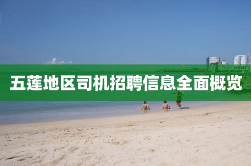 五蓮地區(qū)司機(jī)招聘信息全面概覽