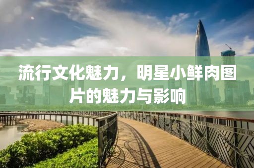 流行文化魅力，明星小鮮肉圖片的魅力與影響