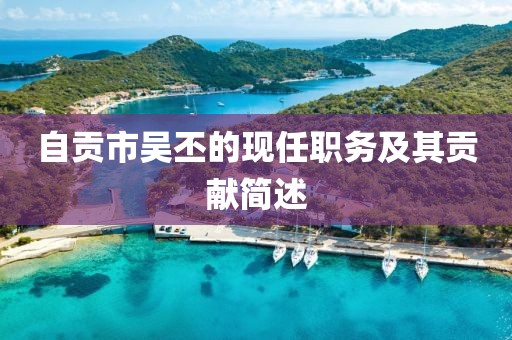 自貢市吳丕的現(xiàn)任職務(wù)及其貢獻(xiàn)簡述