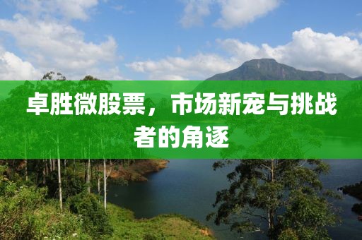 卓勝微股票，市場(chǎng)新寵與挑戰(zhàn)者的角逐