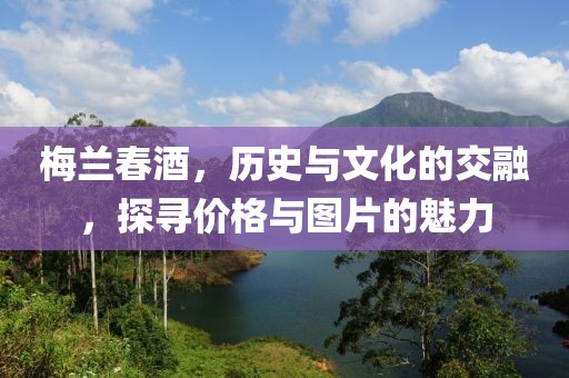 梅蘭春酒，歷史與文化的交融，探尋價(jià)格與圖片的魅力