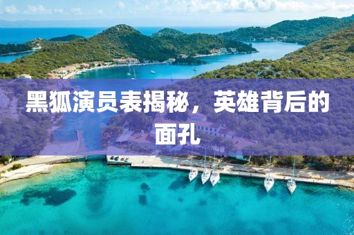 黑狐演員表揭秘，英雄背后的面孔