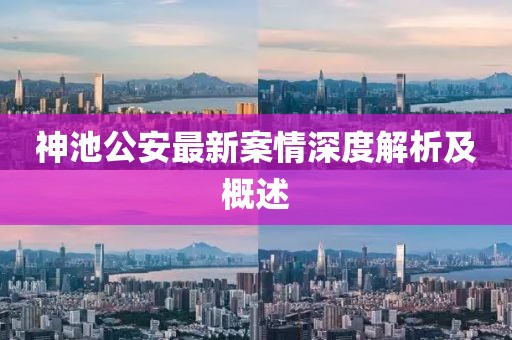 神池公安最新案情深度解析及概述