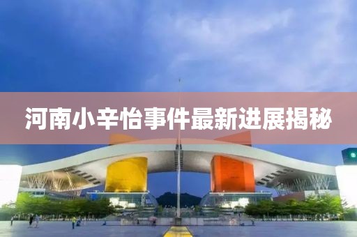 河南小辛怡事件最新進展揭秘