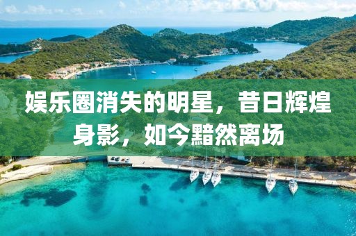 娛樂(lè)圈消失的明星，昔日輝煌身影，如今黯然離場(chǎng)