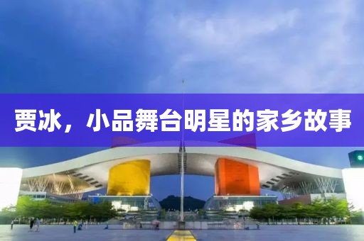 賈冰，小品舞臺明星的家鄉(xiāng)故事