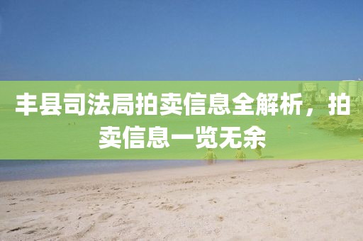 豐縣司法局拍賣(mài)信息全解析，拍賣(mài)信息一覽無(wú)余