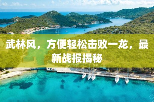武林風，方便輕松擊敗一龍，最新戰(zhàn)報揭秘