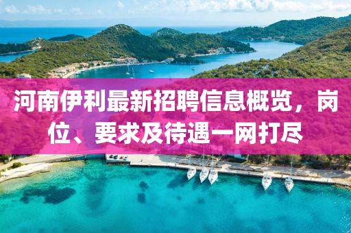 河南伊利最新招聘信息概覽，崗位、要求及待遇一網(wǎng)打盡