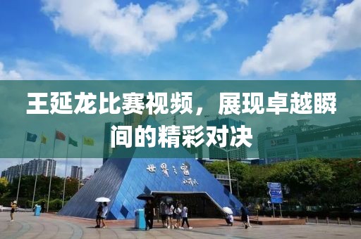 王延龍比賽視頻，展現(xiàn)卓越瞬間的精彩對決