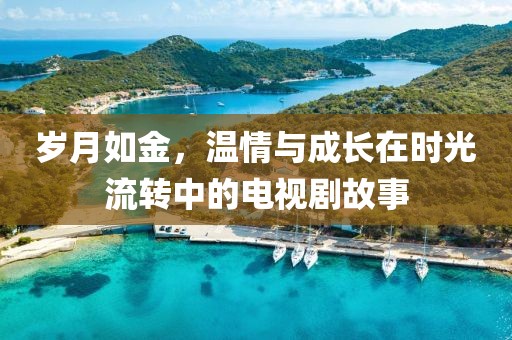 歲月如金，溫情與成長(zhǎng)在時(shí)光流轉(zhuǎn)中的電視劇故事