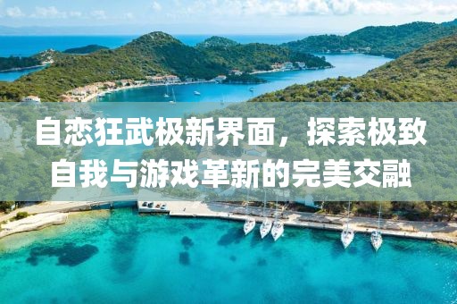 自戀狂武極新界面，探索極致自我與游戲革新的完美交融