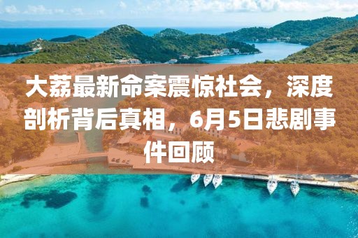 大荔最新命案震驚社會(huì)，深度剖析背后真相，6月5日悲劇事件回顧