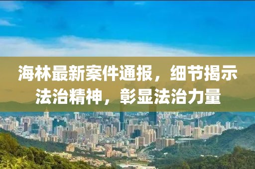海林最新案件通報(bào)，細(xì)節(jié)揭示法治精神，彰顯法治力量