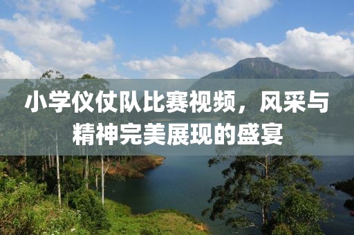 小學(xué)儀仗隊(duì)比賽視頻，風(fēng)采與精神完美展現(xiàn)的盛宴