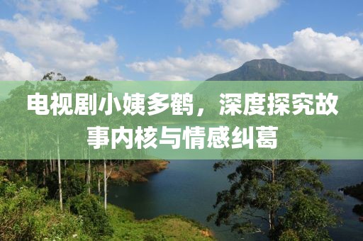 電視劇小姨多鶴，深度探究故事內(nèi)核與情感糾葛