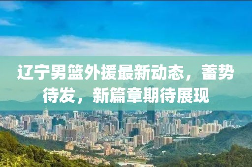 遼寧男籃外援最新動態(tài)，蓄勢待發(fā)，新篇章期待展現(xiàn)