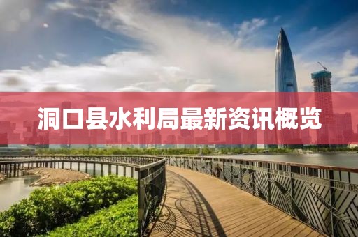 洞口縣水利局最新資訊概覽