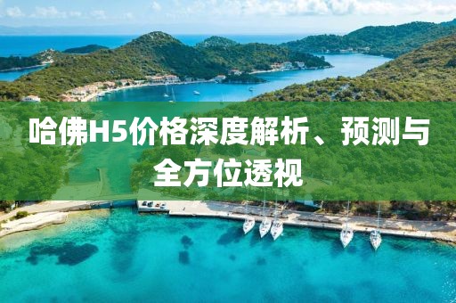 哈佛H5價格深度解析、預測與全方位透視