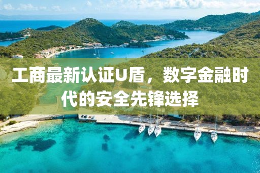 工商最新認(rèn)證U盾，數(shù)字金融時(shí)代的安全先鋒選擇