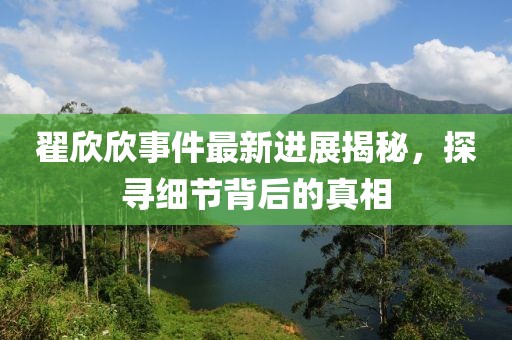 翟欣欣事件最新進展揭秘，探尋細節(jié)背后的真相