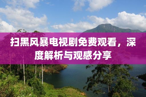 掃黑風(fēng)暴電視劇免費(fèi)觀看，深度解析與觀感分享