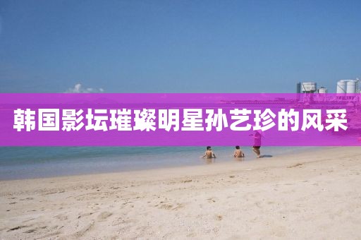韓國(guó)影壇璀璨明星孫藝珍的風(fēng)采