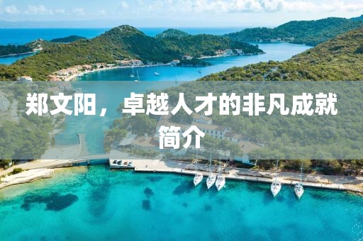 鄭文陽(yáng)，卓越人才的非凡成就簡(jiǎn)介