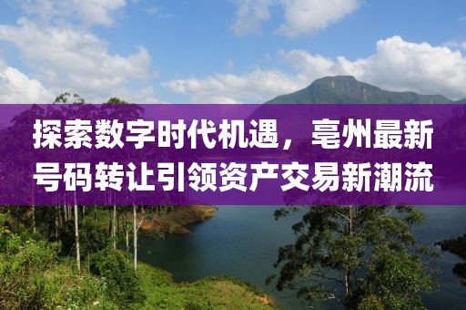 探索數(shù)字時(shí)代機(jī)遇，亳州最新號(hào)碼轉(zhuǎn)讓引領(lǐng)資產(chǎn)交易新潮流