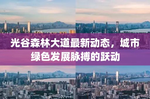 光谷森林大道最新動(dòng)態(tài)，城市綠色發(fā)展脈搏的躍動(dòng)
