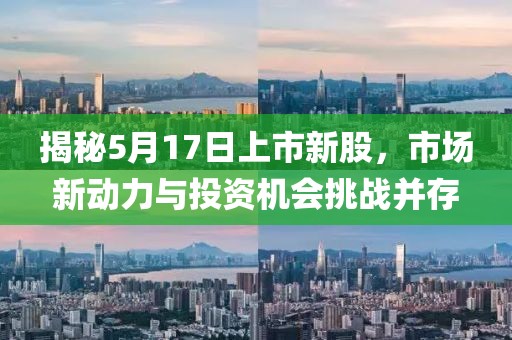 揭秘5月17日上市新股，市場新動力與投資機會挑戰(zhàn)并存