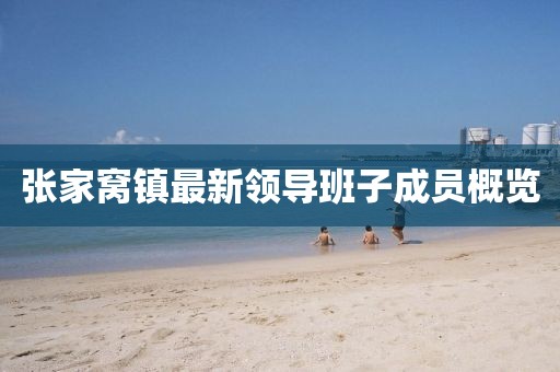 張家窩鎮(zhèn)最新領(lǐng)導(dǎo)班子成員概覽