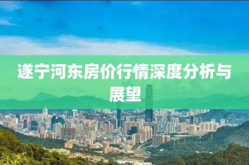 遂寧河東房價行情深度分析與展望