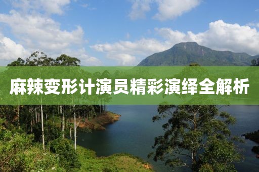 麻辣變形計(jì)演員精彩演繹全解析
