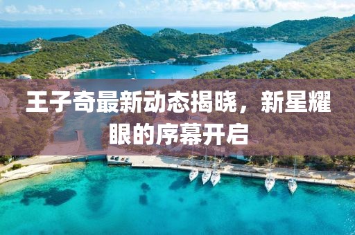 王子奇最新動(dòng)態(tài)揭曉，新星耀眼的序幕開(kāi)啟