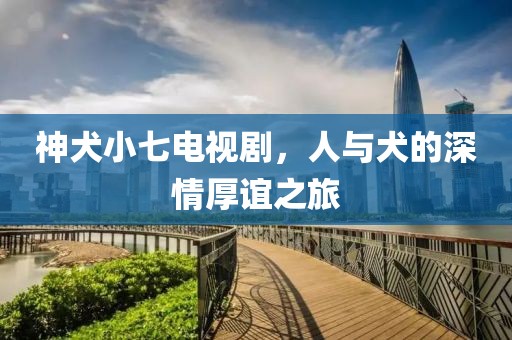 神犬小七電視劇，人與犬的深情厚誼之旅