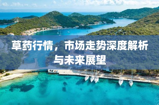 草藥行情，市場走勢深度解析與未來展望