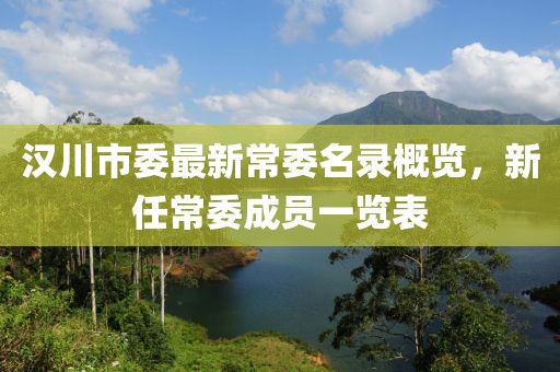 漢川市委最新常委名錄概覽，新任常委成員一覽表