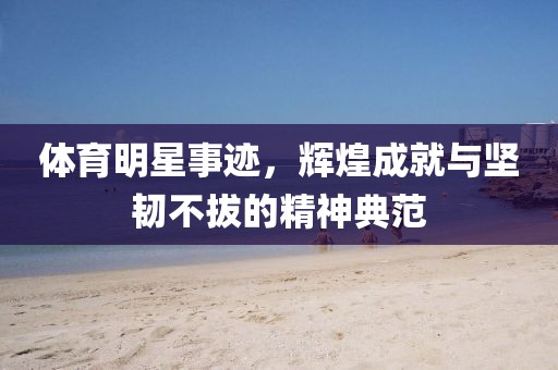 體育明星事跡，輝煌成就與堅韌不拔的精神典范