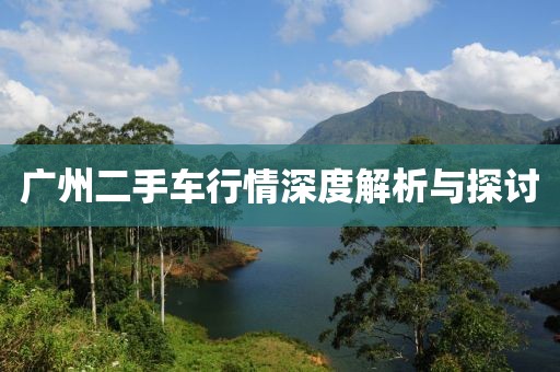 廣州二手車行情深度解析與探討
